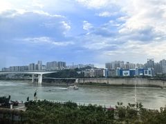 -李子坝梁山鸡(李子坝大鸡哥店)