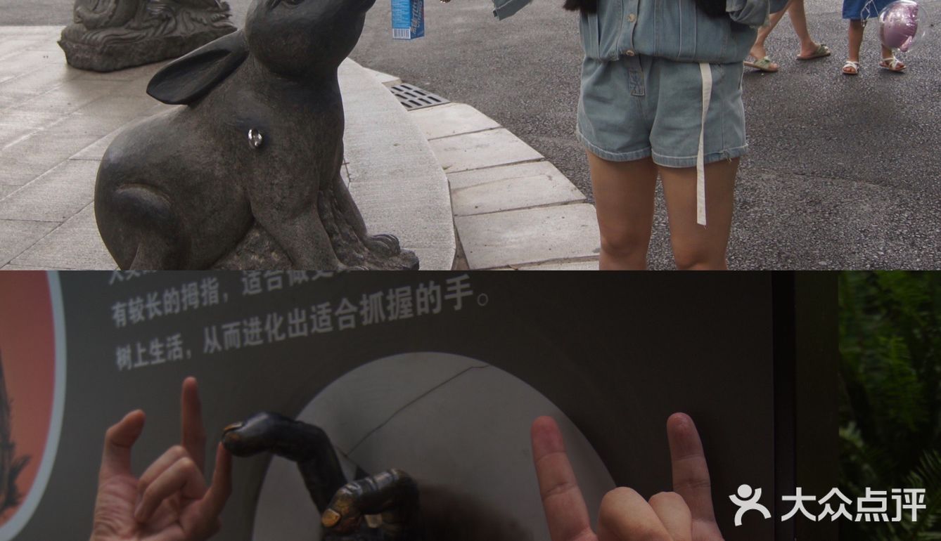 广州·越秀｜广州动物园🦍门票20元🦍