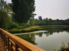 -东郊湿地公园