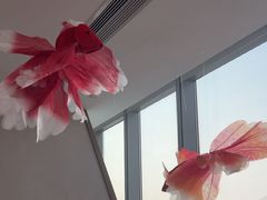 -及象咖啡Air·360度俯瞰广州塔(北塔68F店)