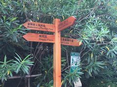 -上海崇明金茂凯悦酒店