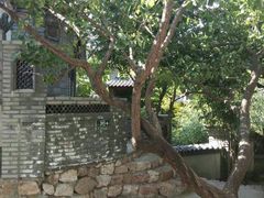 -老张烤羊(王哥庄店)