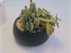 -花开餐厅(环湖中路店)