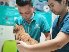 -东莞宠友24H宠物中心医院·转诊夜诊·异宠(新河北路院)