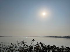 -贡湖湾湿地公园