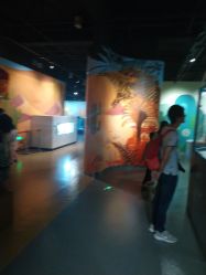 点击看大图 -北京科学中心儿童乐园