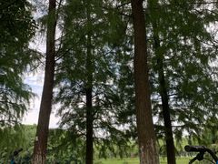 -艾溪湖湿地公园