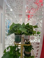 -晶奕空间专业脱毛连锁机构
