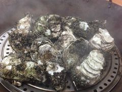 桑拿蚝-蚝专家(北滘店)
