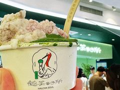 -鹤茶野所(上海首店)