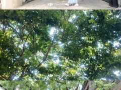 -绿地·中山里