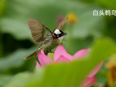 -太阳宫公园