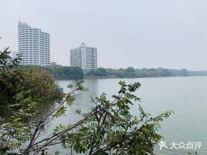 放鹰台遗址图片