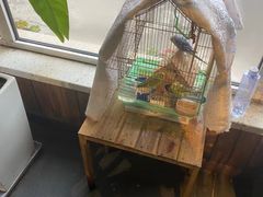 -草原塞蛮羊火锅城(港湾店)