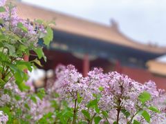 -故宫博物院(故宫)
