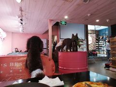 -百好乐宠物友好餐厅(朝外大街店)