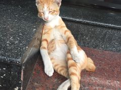 -唐人街(耀华力路)