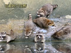 -杭州野生动物世界