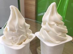 -Salud撒露欧洲冻酸奶(北苑上品店)