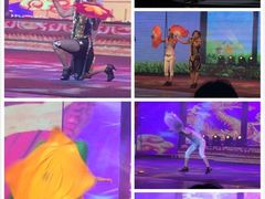 iphone_upload_pic-南风大剧院莎梦二人转剧场