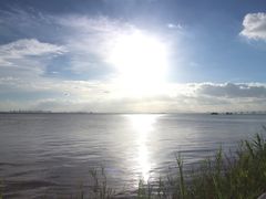 -芒洲湿地公园