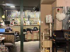 -后院儿·精酿·塔罗Happy Bar