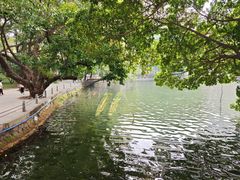 -荔湾湖公园