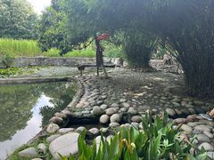 -成都市活水公园