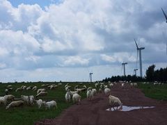 -塞罕坝国家级自然保护区