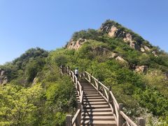 -大岭沟猕猴桃谷风景区