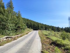 -白草畔自然风景区