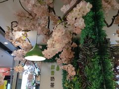 -溢仙茶(中防万宝城店)