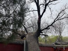 -天宁寺