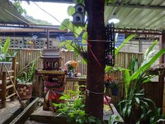 -Jungle Kitchen