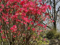 -岳西天峡风景区