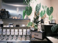 -Dogi&kiki Coffee(中心商务大厦店)