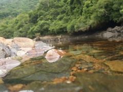 -万泉河漂流