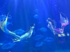 -华夏文旅海洋公园