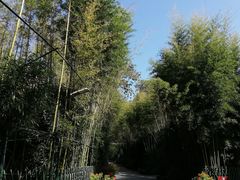 -红螺寺