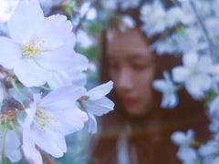 -南汇桃花村