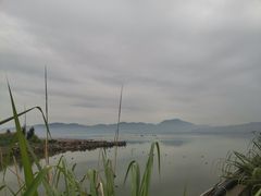 -北岐滩涂