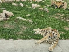 -西安秦岭野生动物园