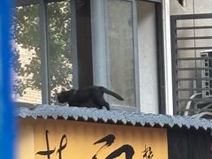 -比萨先生PIZZAMAN