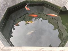 -西安市广仁寺