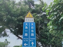 -南沙天后宫景区