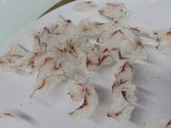 -八仔大富楼·河鲜(西江店)