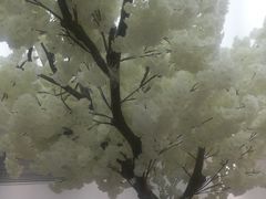 -艾薯夫妇Aysh(福田星河COCOPark店)