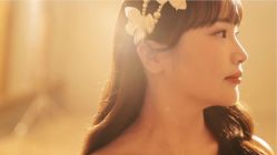 -金夫人婚纱摄影