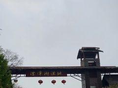 -泗洪洪泽湖湿地景区