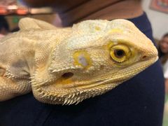 -藦茜花园宠物主题亲子互动体验馆(国顺东路店)